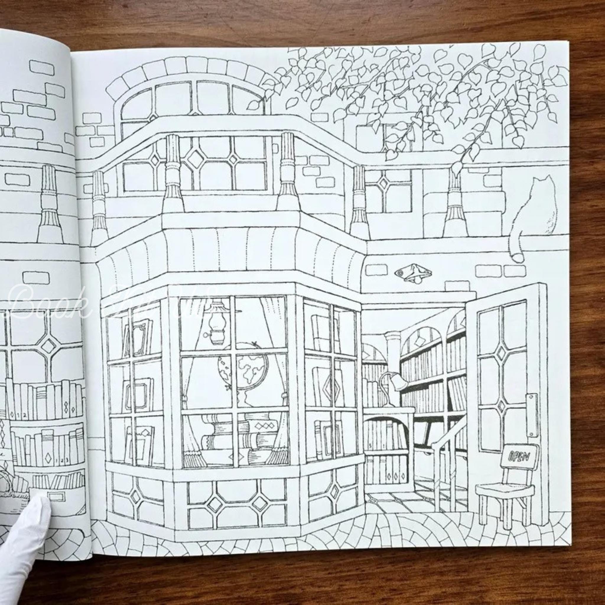 Shops of Dreams Coloring Book by Chiaki Ida: Japanese Vogue