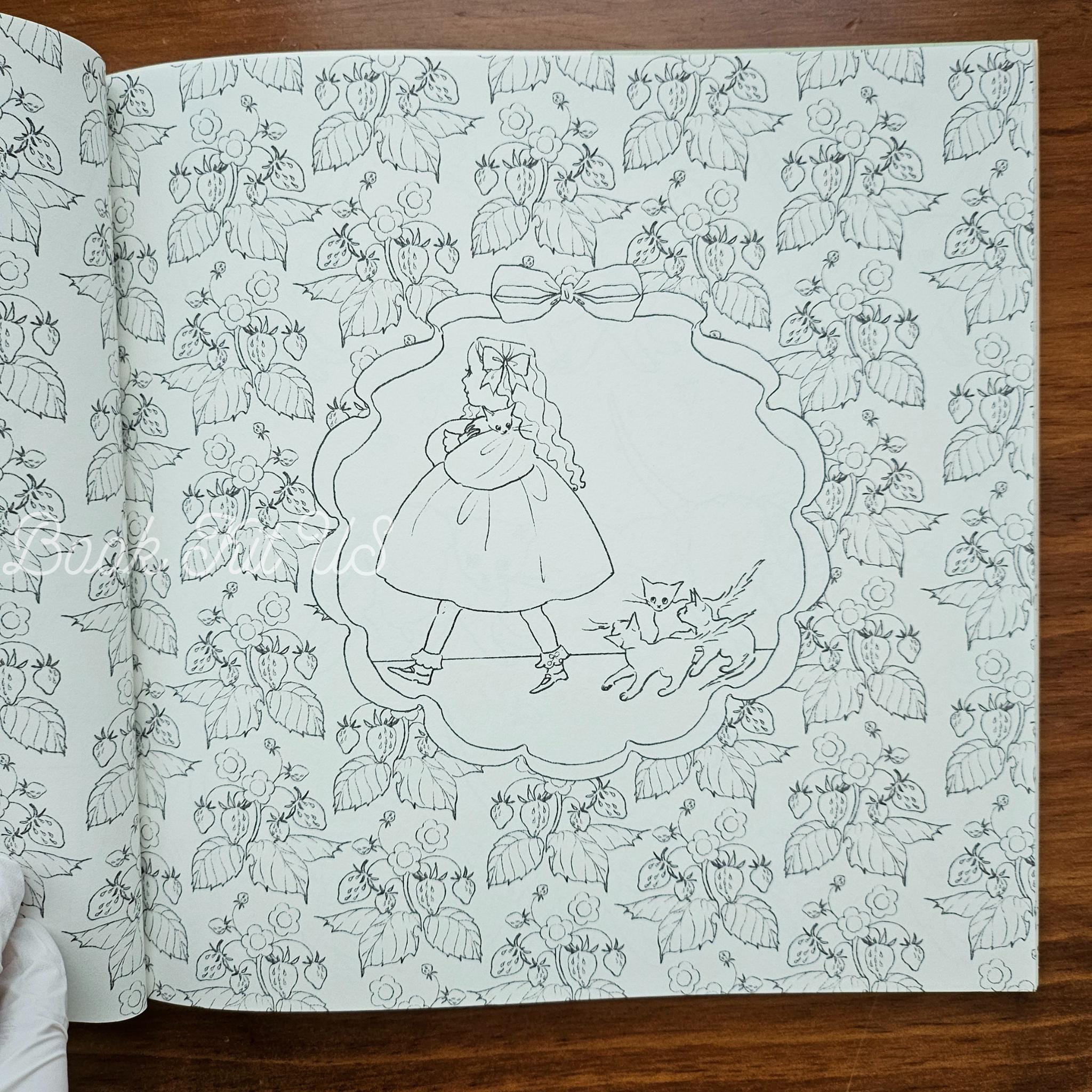 Coloring Book : Japan imported - Secret Stories, by Kurahashi Rei