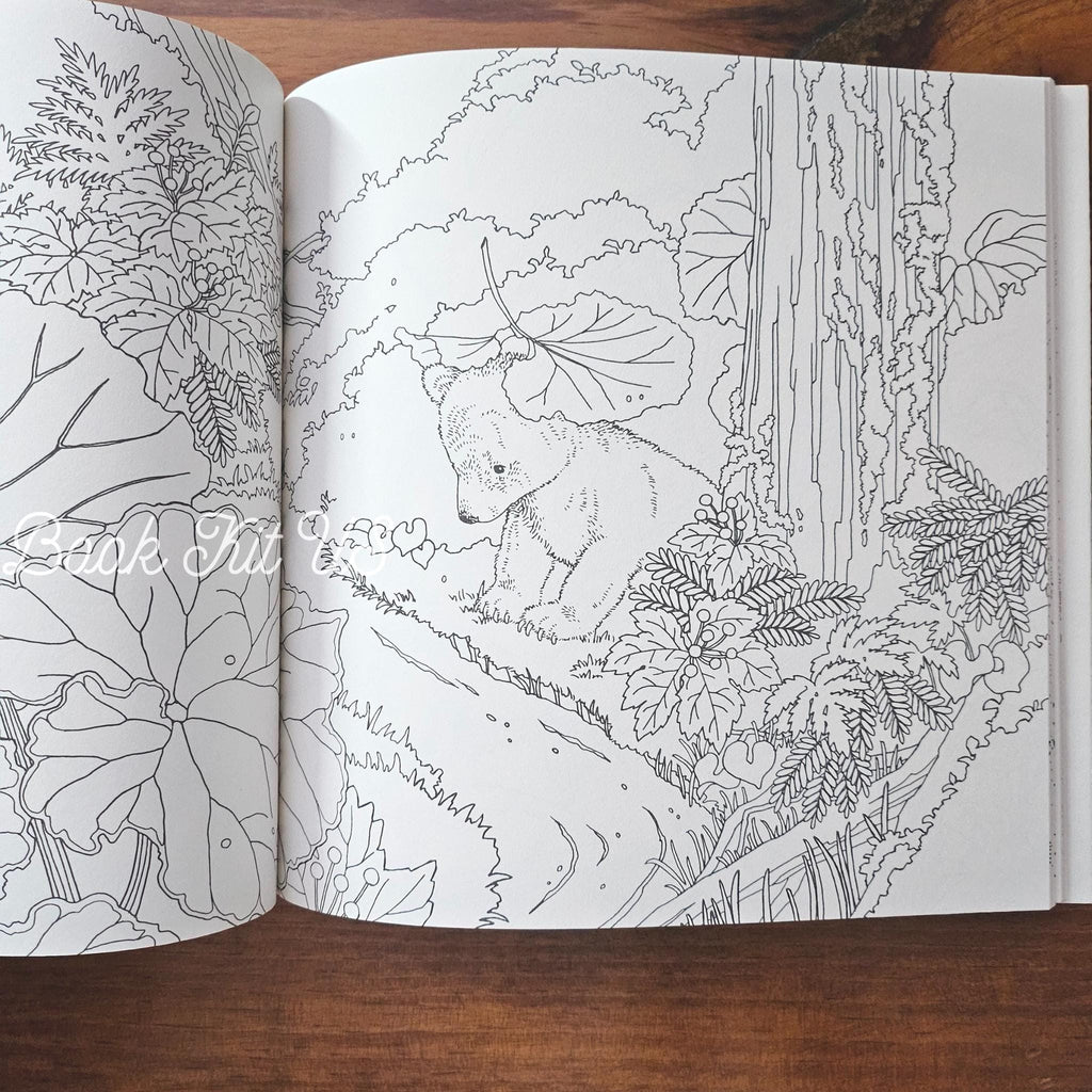 Forest Animals Coloring Book: Japanese Craft Edition