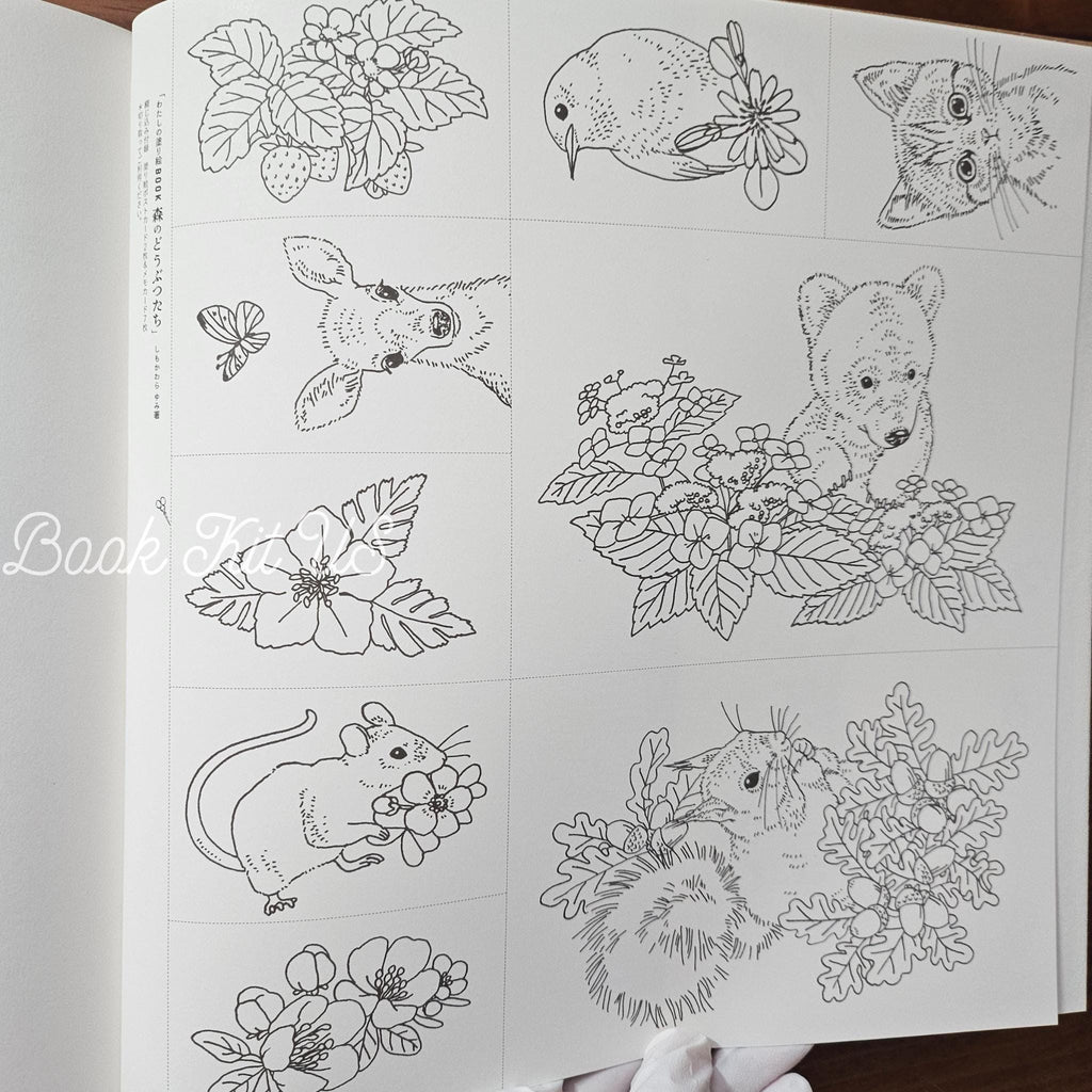 Forest Animals Coloring Book: Japanese Craft Edition