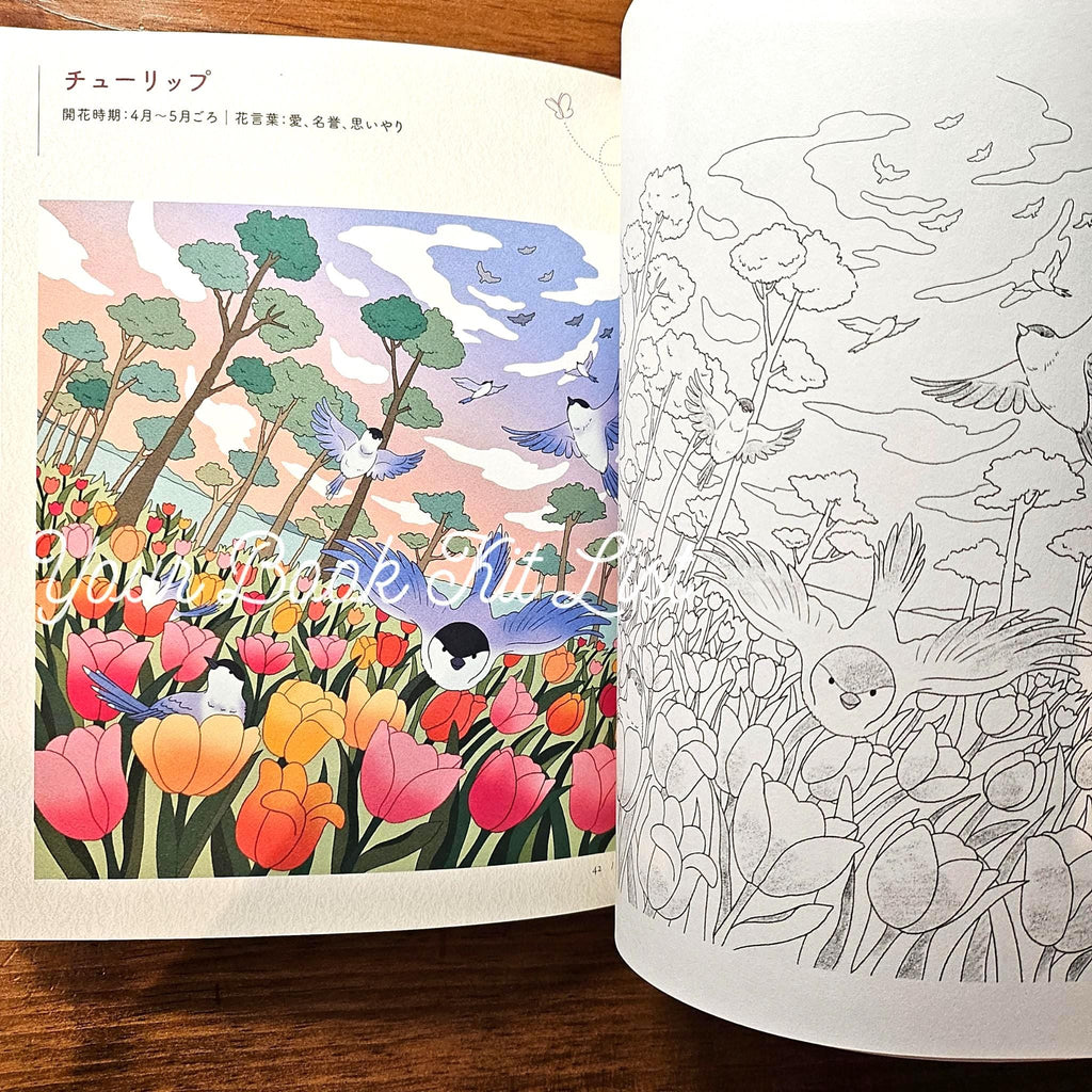 Coloring book - Spring day Sunshine, Warm and Cozy Flowers and Animals