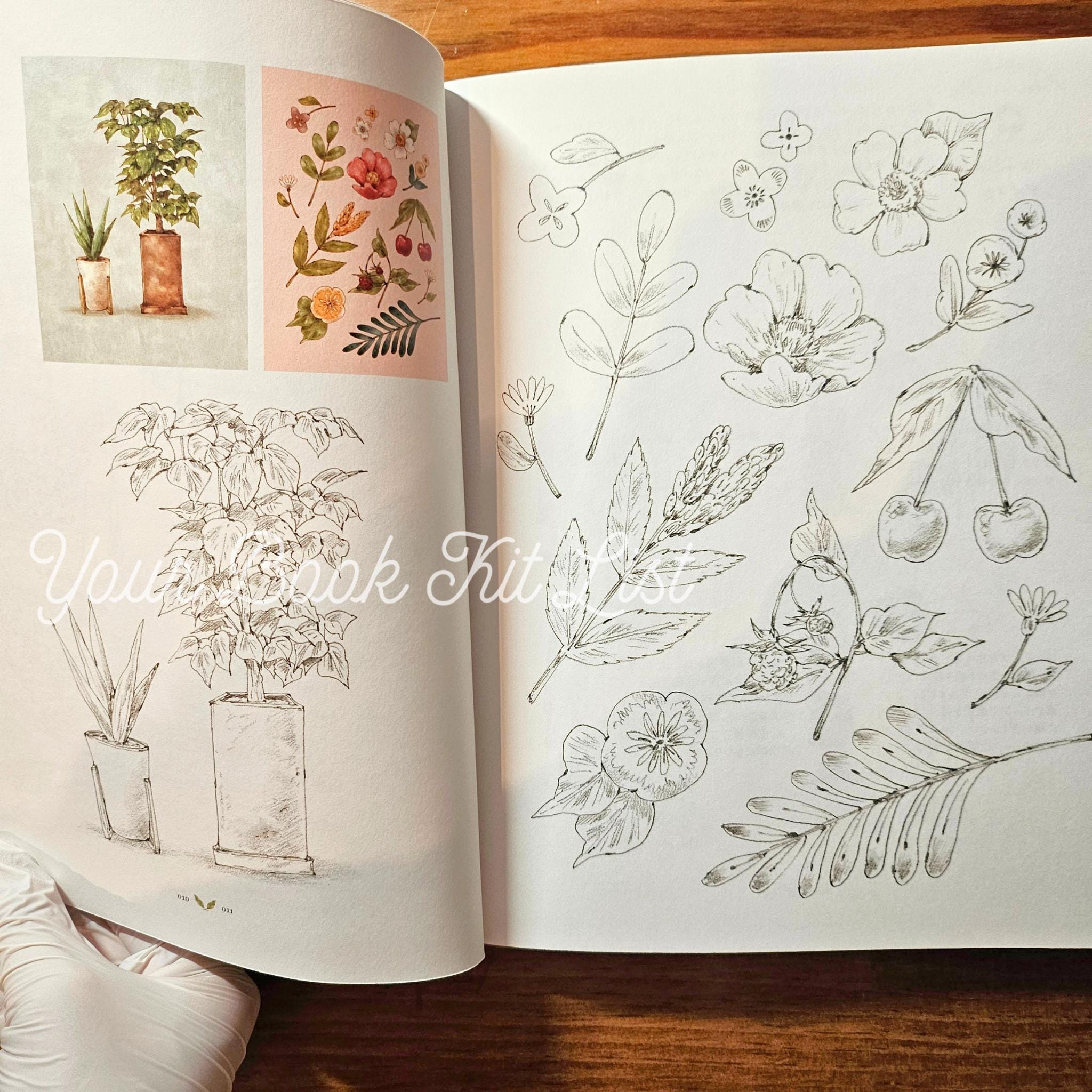 Aeppol's Coloring Book of the Forest - Moments wholly for yourself