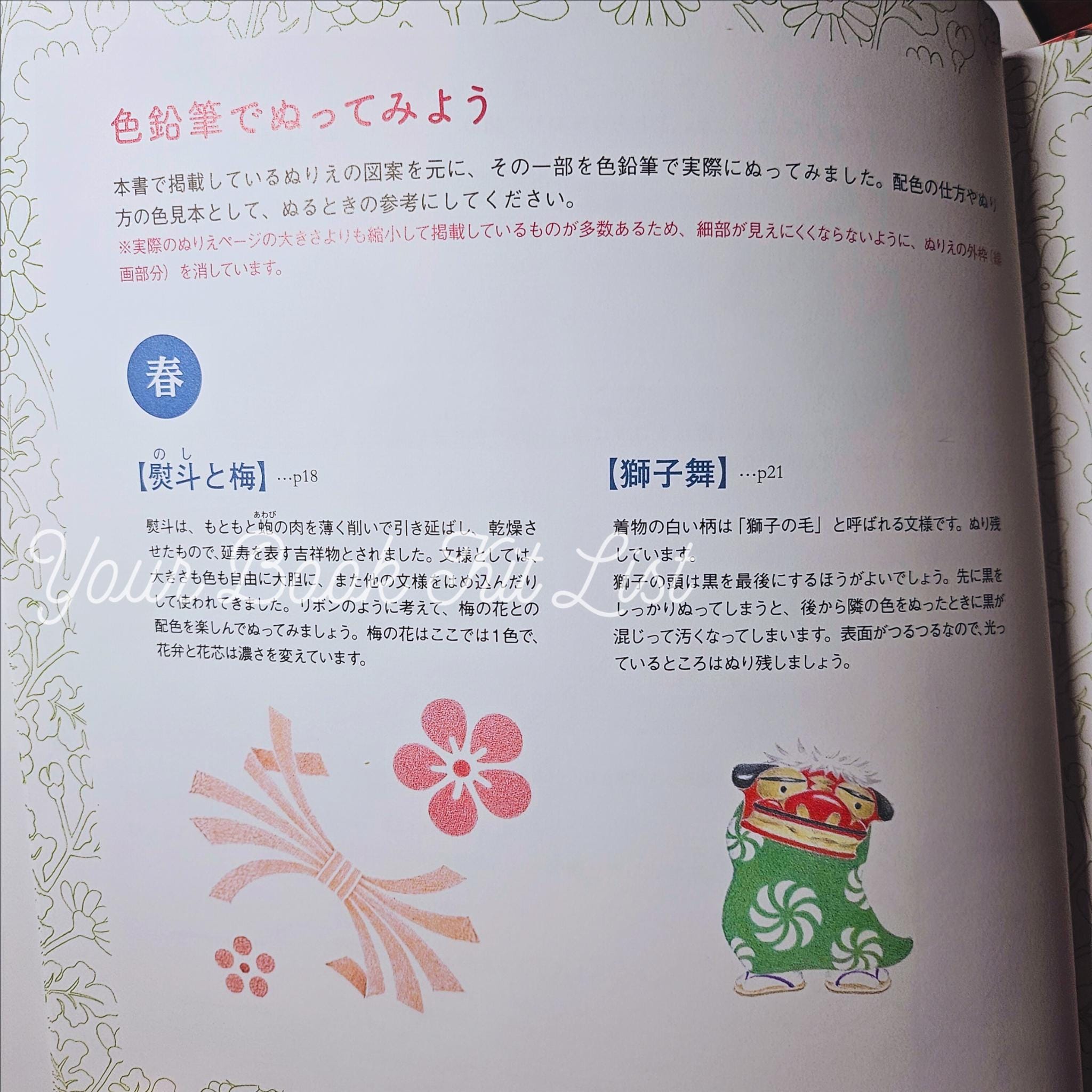 Japan's Four Seasons Coloring Book – Traditional Japanese Designs