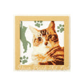 American Shorthair Cat Embroidery Kit: Japanese Cross Stitch
