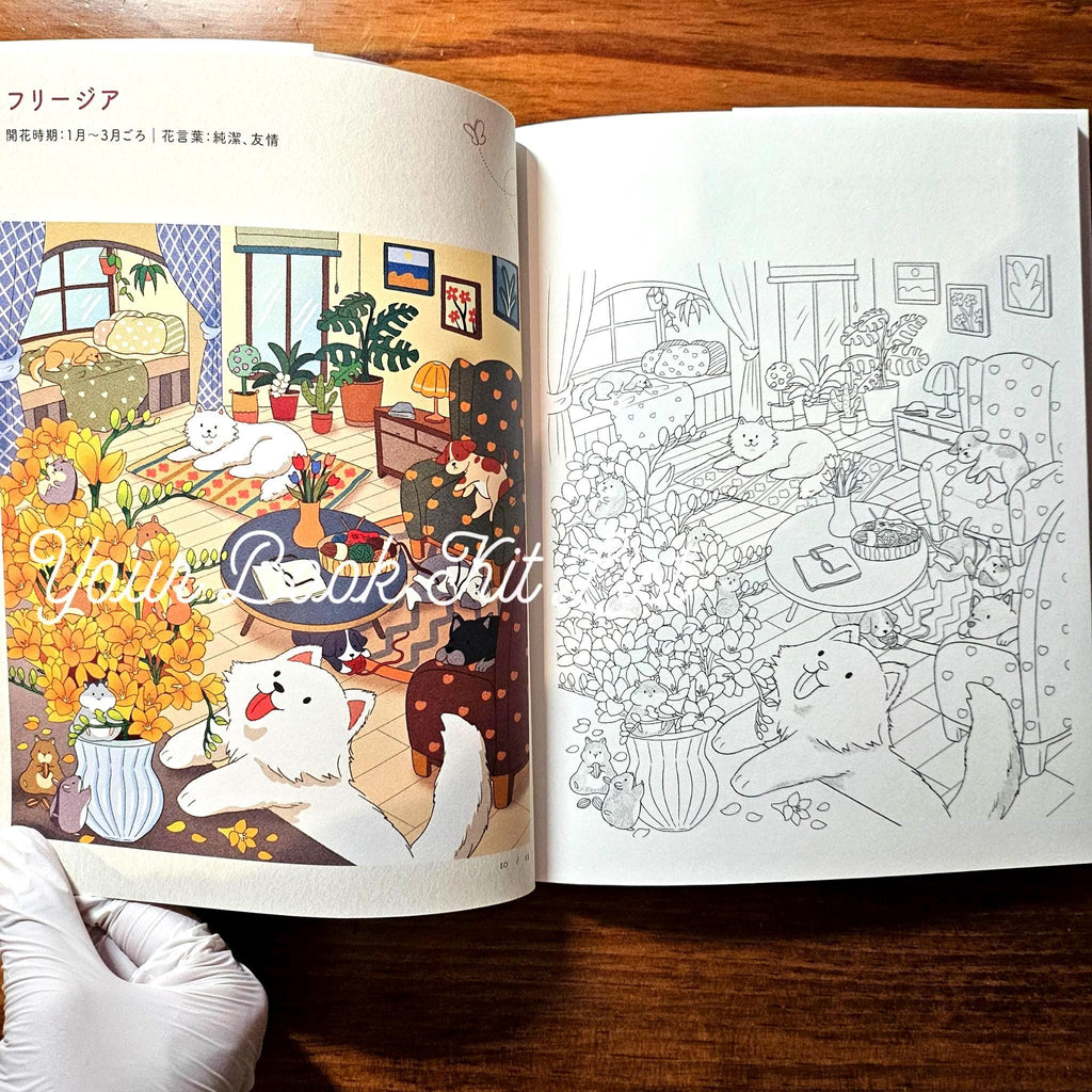 Coloring book - Spring day Sunshine, Warm and Cozy Flowers and Animals