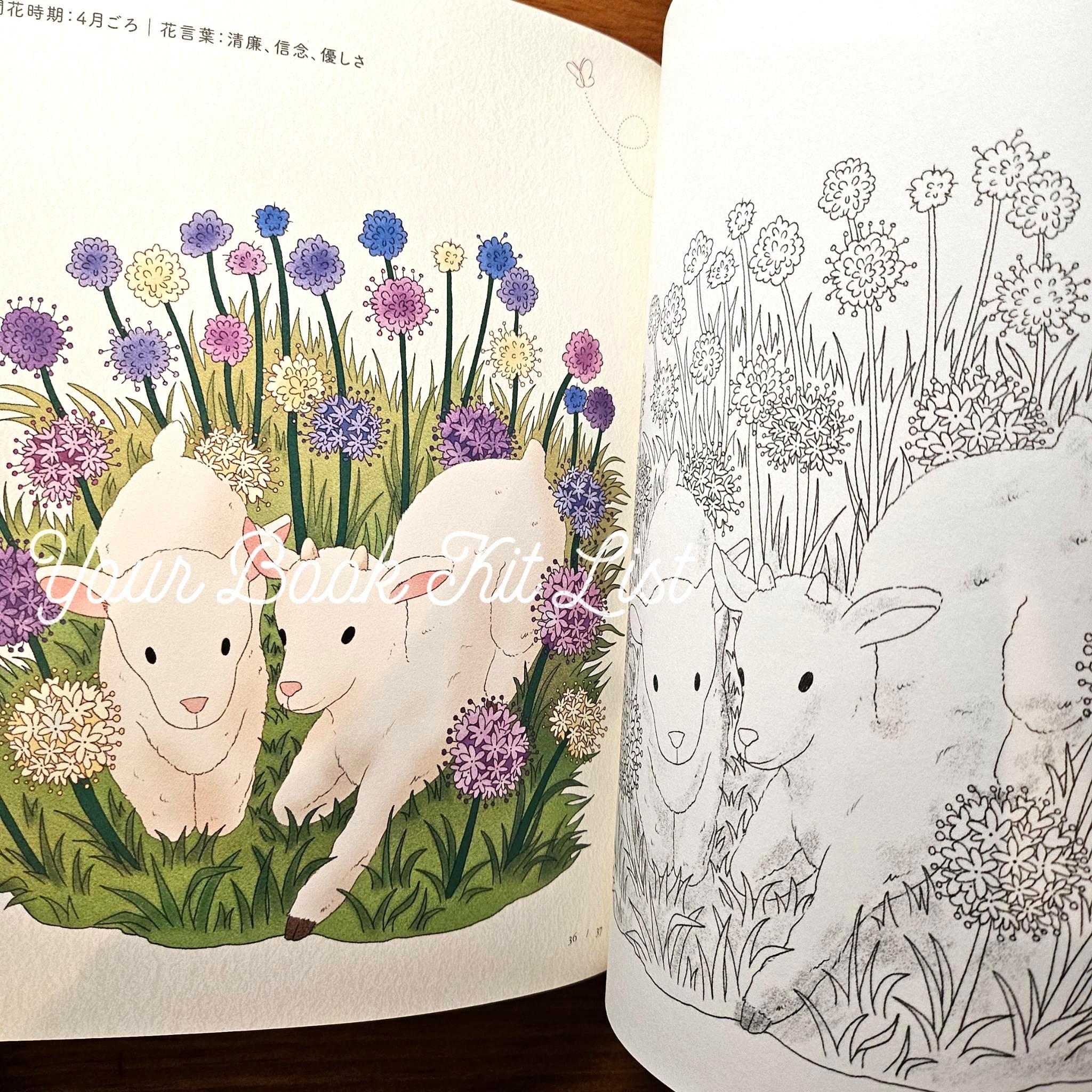 Coloring book - Spring day Sunshine, Warm and Cozy Flowers and Animals