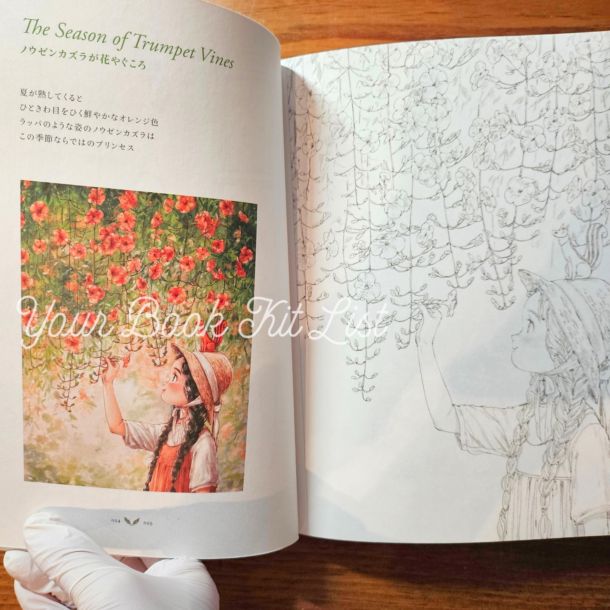 Aeppol's Coloring Book of the Forest - Moments wholly for yourself
