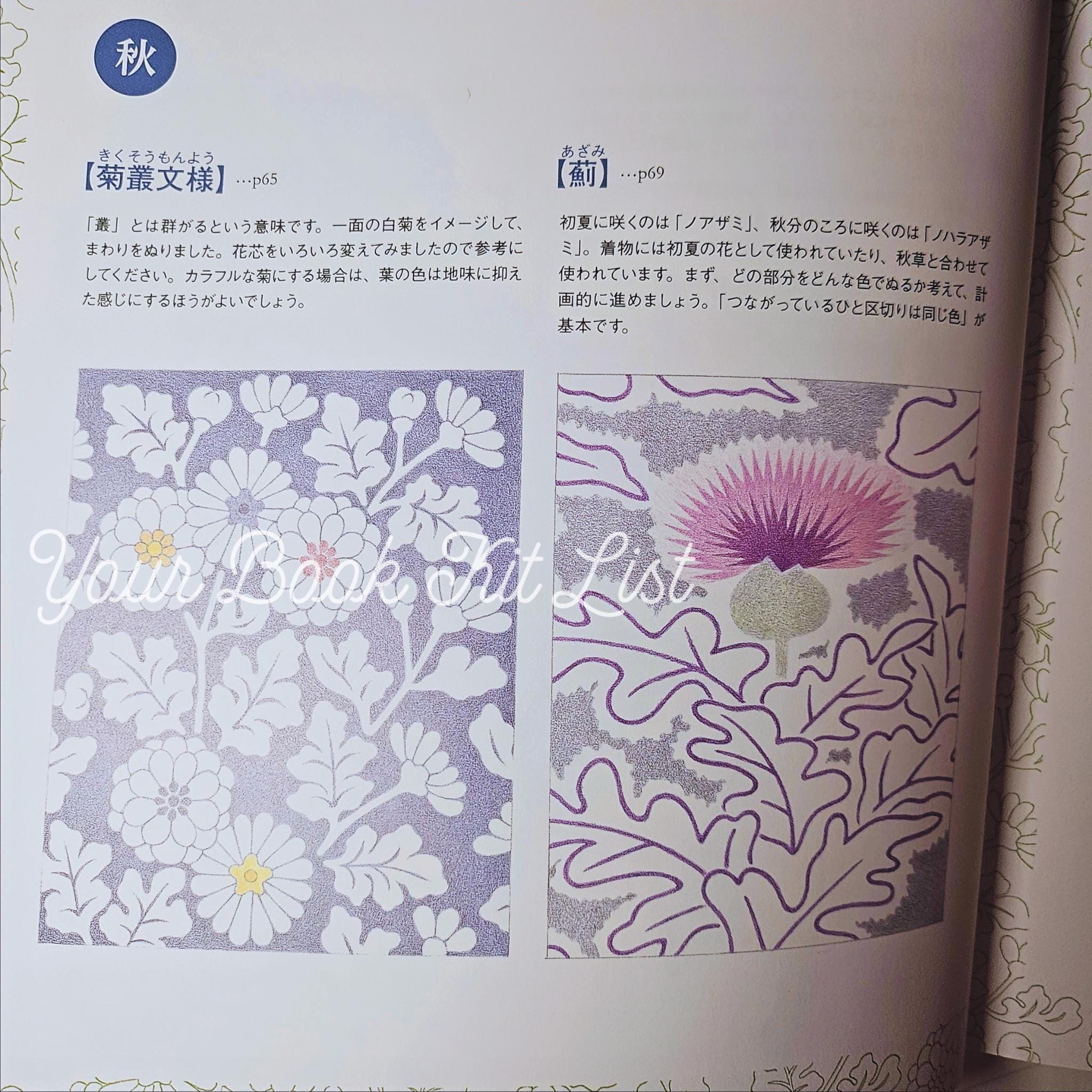 Japan's Four Seasons Coloring Book – Traditional Japanese Designs
